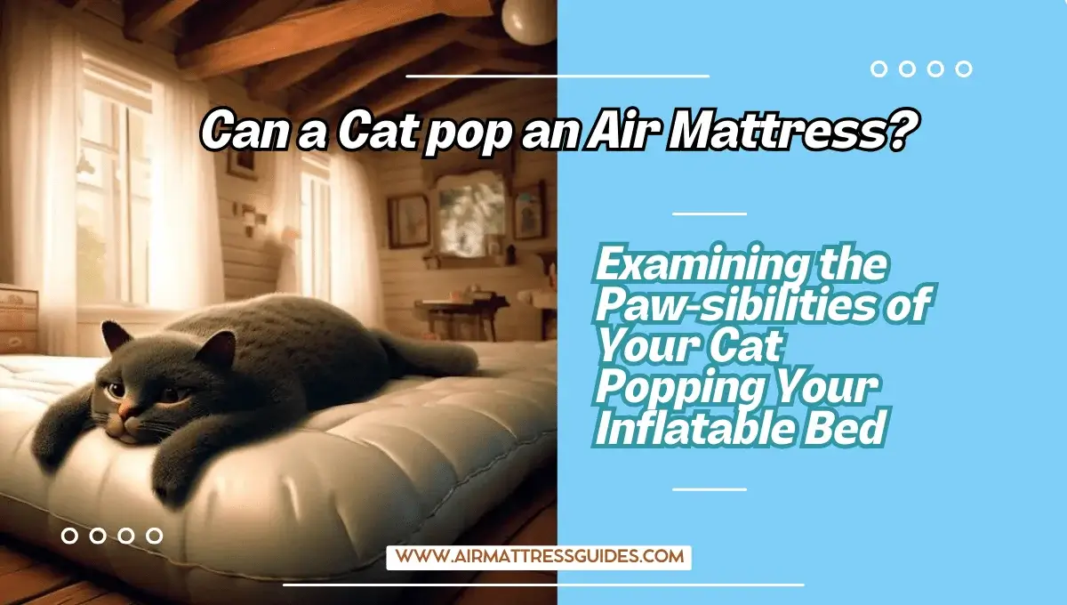 Can a Cat Pop an Air Mattress?